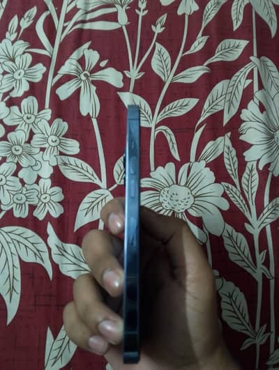 Iphone 13 pro PTA approved