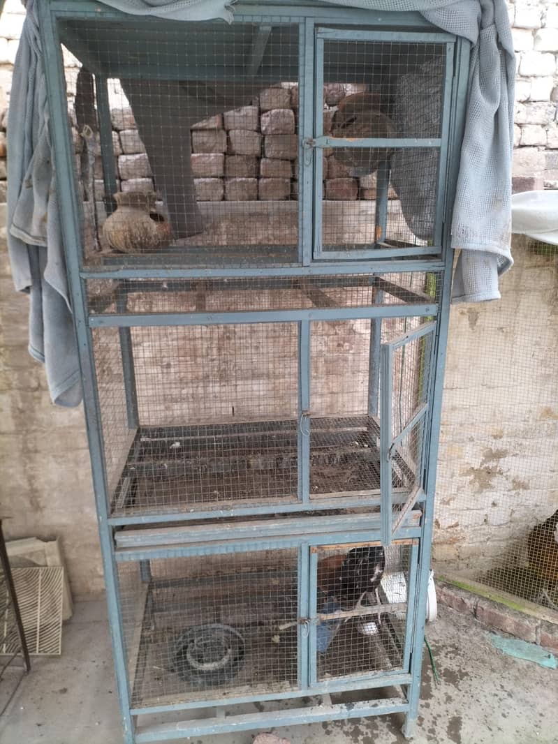 بڑا مضبوط 3 پورشن والا پنجرہ (ٹرے کے ساتھ) برائے فروخت 0