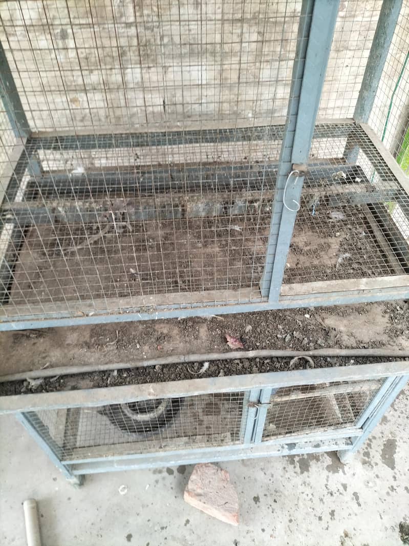 بڑا مضبوط 3 پورشن والا پنجرہ (ٹرے کے ساتھ) برائے فروخت 3