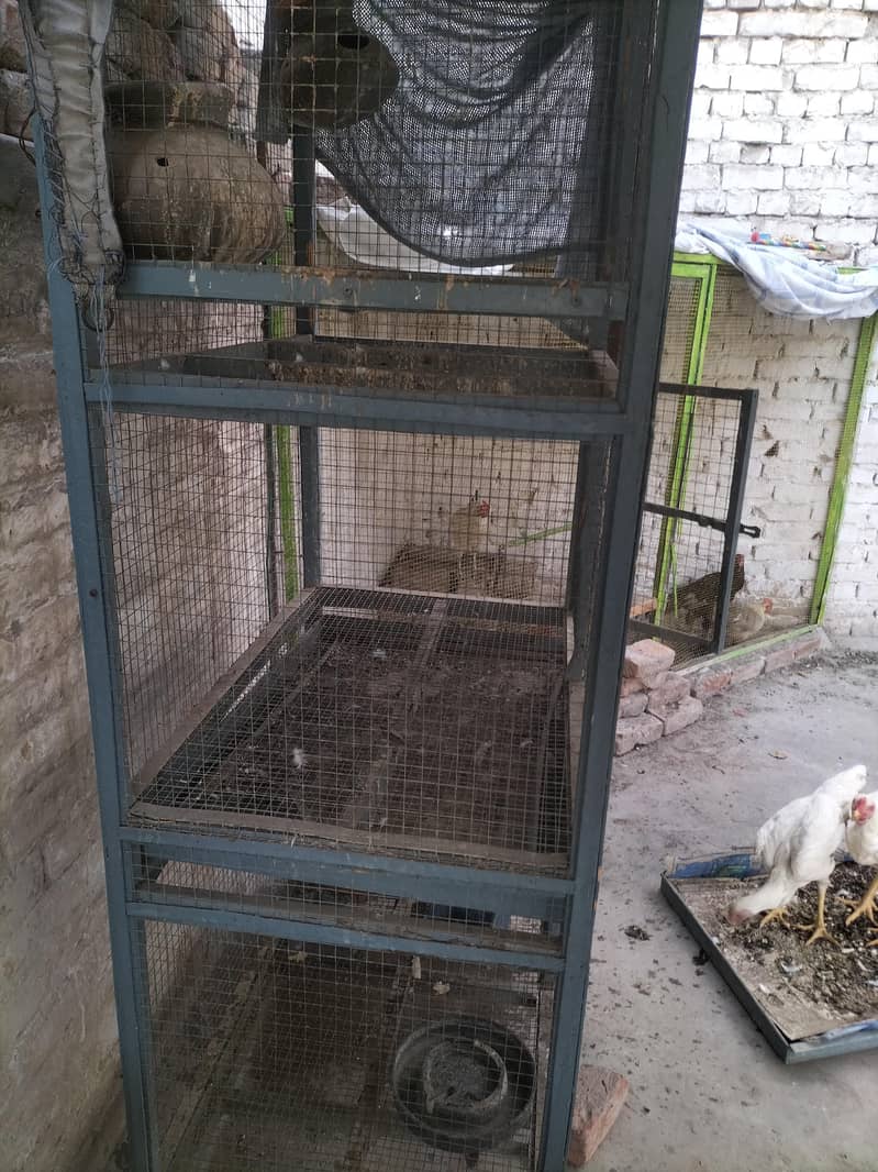 بڑا مضبوط 3 پورشن والا پنجرہ (ٹرے کے ساتھ) برائے فروخت 4