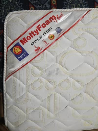 MoltyFoam Plus Spine Support