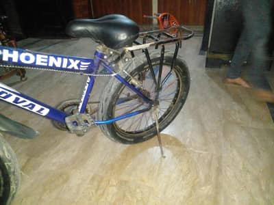 phoenix dval for sale