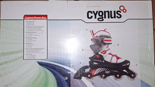 10/10 Rolling Skates Shoes