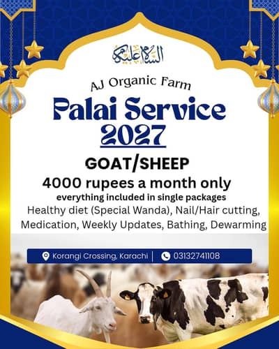 Sheep/Goat Palai services Season 2027