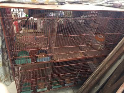 birds cage