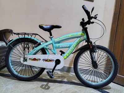 Bicycle Lion King Imported Bicycle 20  inch For Sale