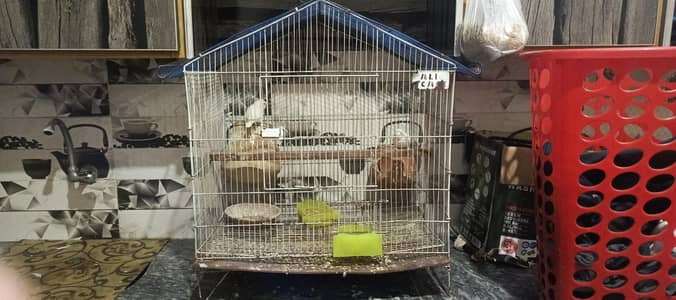 Use cage for sale