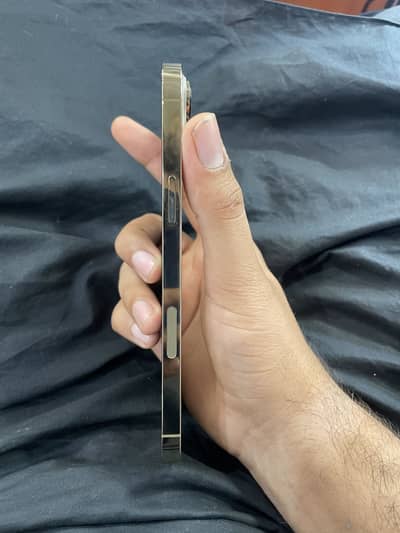 iPhone 13 pro max 256gb non pta