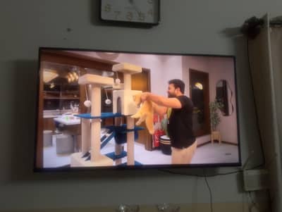 TCL 50" Smart Android LED TV – 50 Inch | Good Condition |