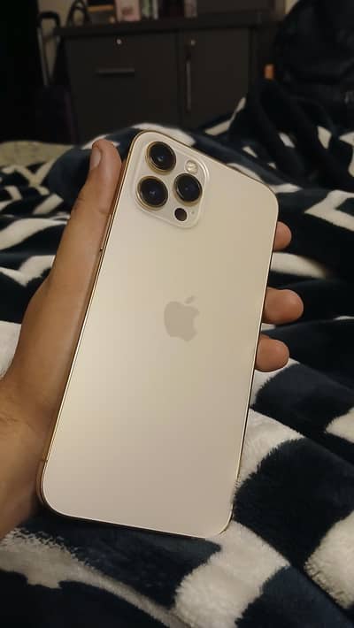 12 pro max pta approved gold