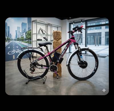 Electric bicycle 27"
