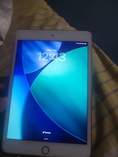 Ipad mini 5