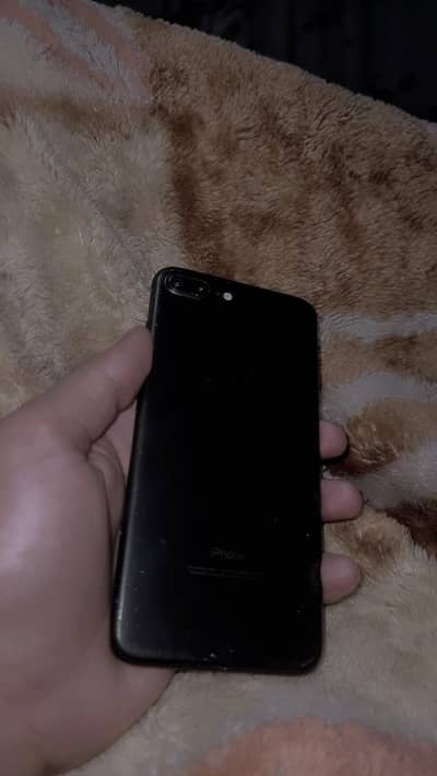 whatsaap number 03181471818