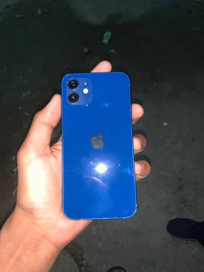 Iphone 12 256gb factory unlock