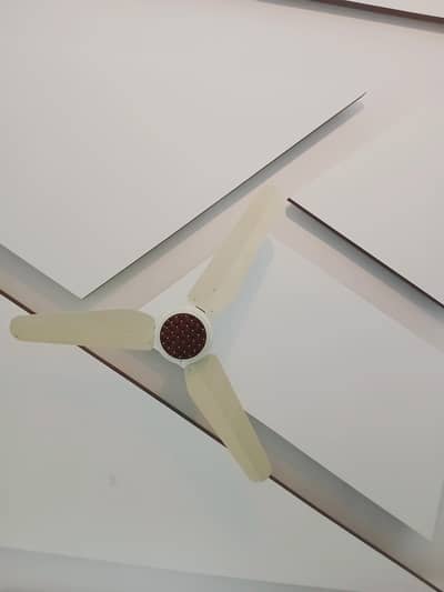 Decent Ceiling Fan - Excellent Condition - Energy Efficient