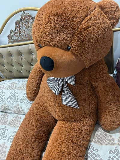 6FT TEDDY BEAR