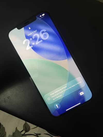 12 pro max pta approved