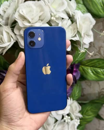 iPhone 12 - PTA Approved- 256Gb - Lush Condition