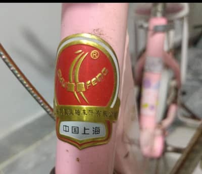 16 size cycle 6 to 7 years