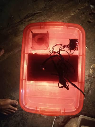 incubator 12 volt available