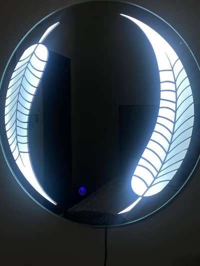 Dual light mirror