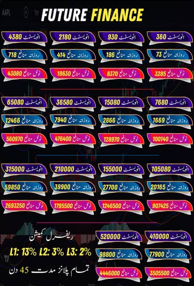 Future Finance Best Earning Company  Wathsapp Number 03238744552