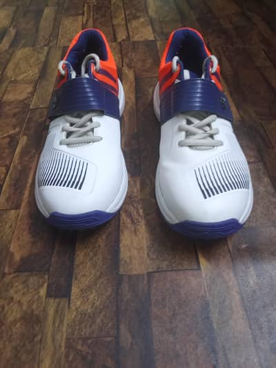Cricket shoes CA M8