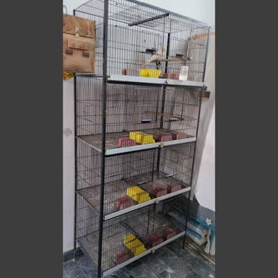 4 portions 8 partitions half angle cage 03214382921