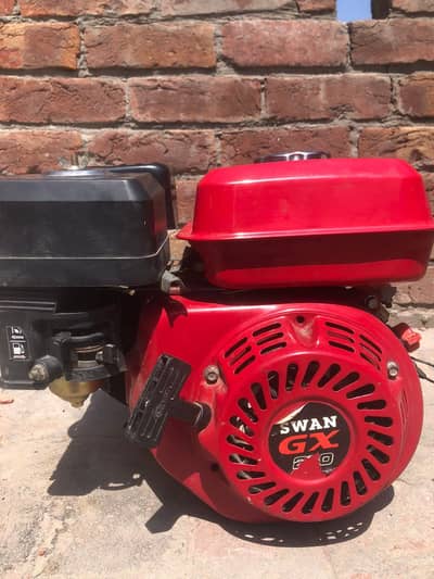 swan GX engine 270 , 8 HP Gasolina engine.