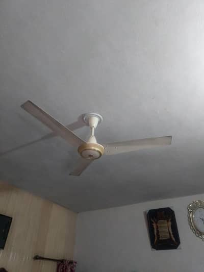 fan new ha 3sy 4 month use ha