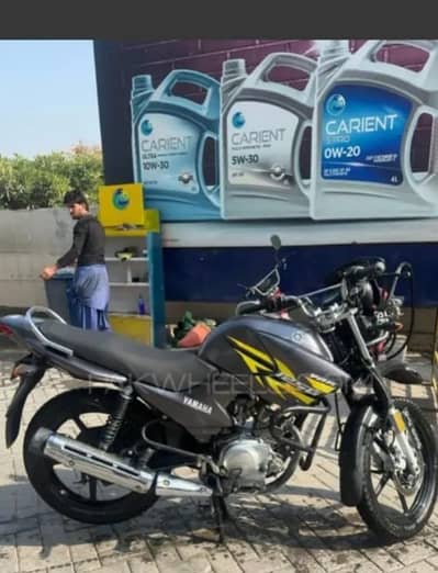 Yamaha | YBR 125G | Special Edition | Model 2020 |3120556669