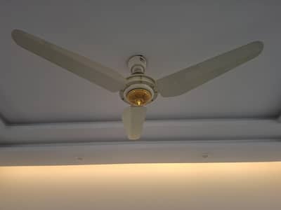 Fancy Ceiling Fans for sale