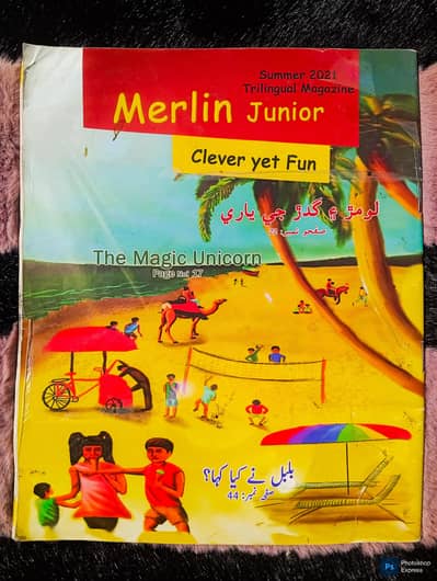 Merlin Junior Book for children
