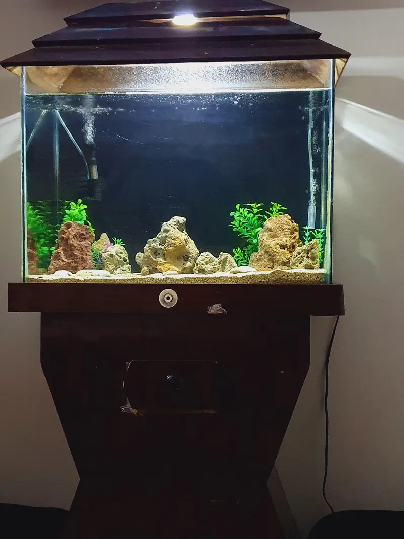 Aquarium — photo 2