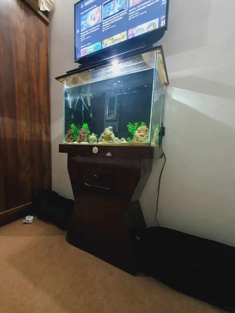 Aquarium — photo 4