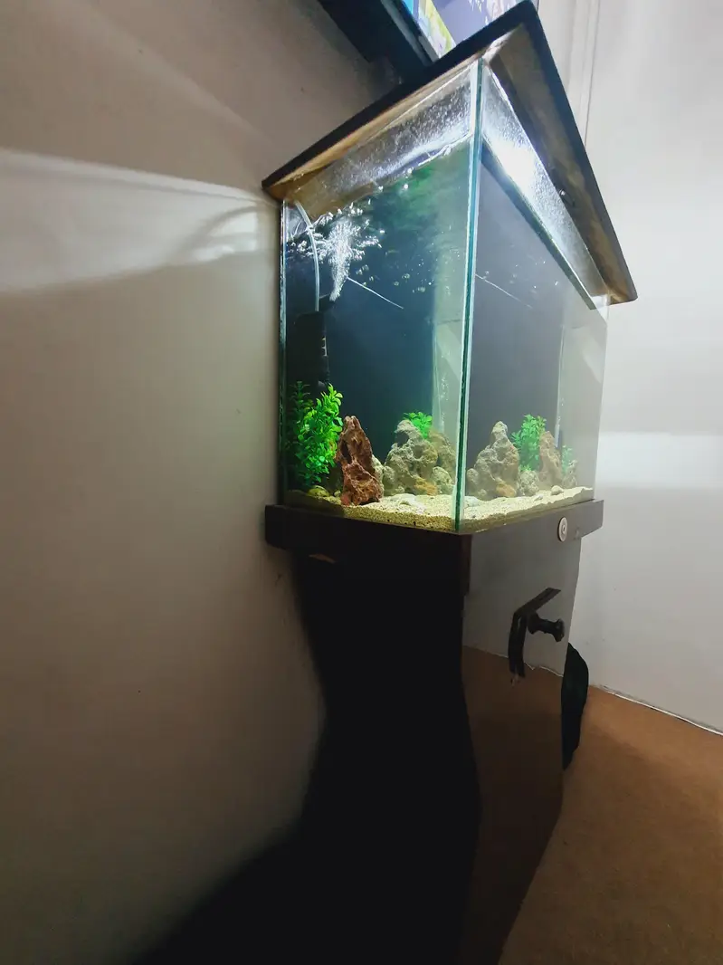 Aquarium — photo 5