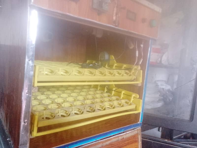 automatic incubator 1