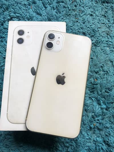 11 Dual Physical PTA