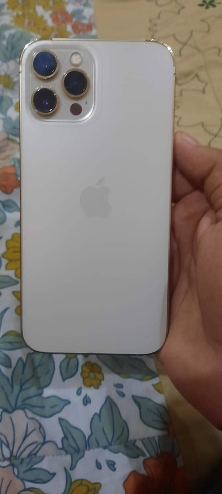 Apple iPhone 12 Pro Max 0