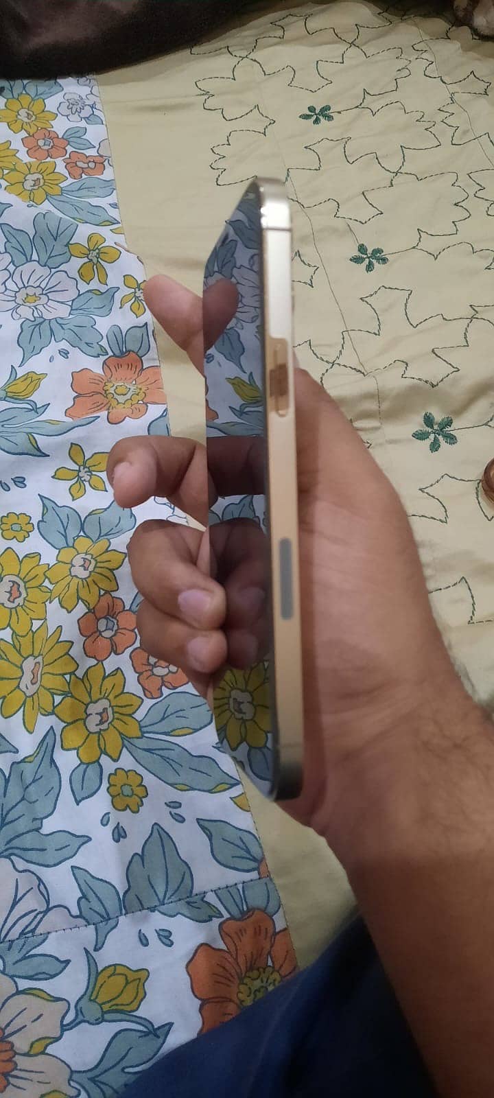 Apple iPhone 12 Pro Max 1