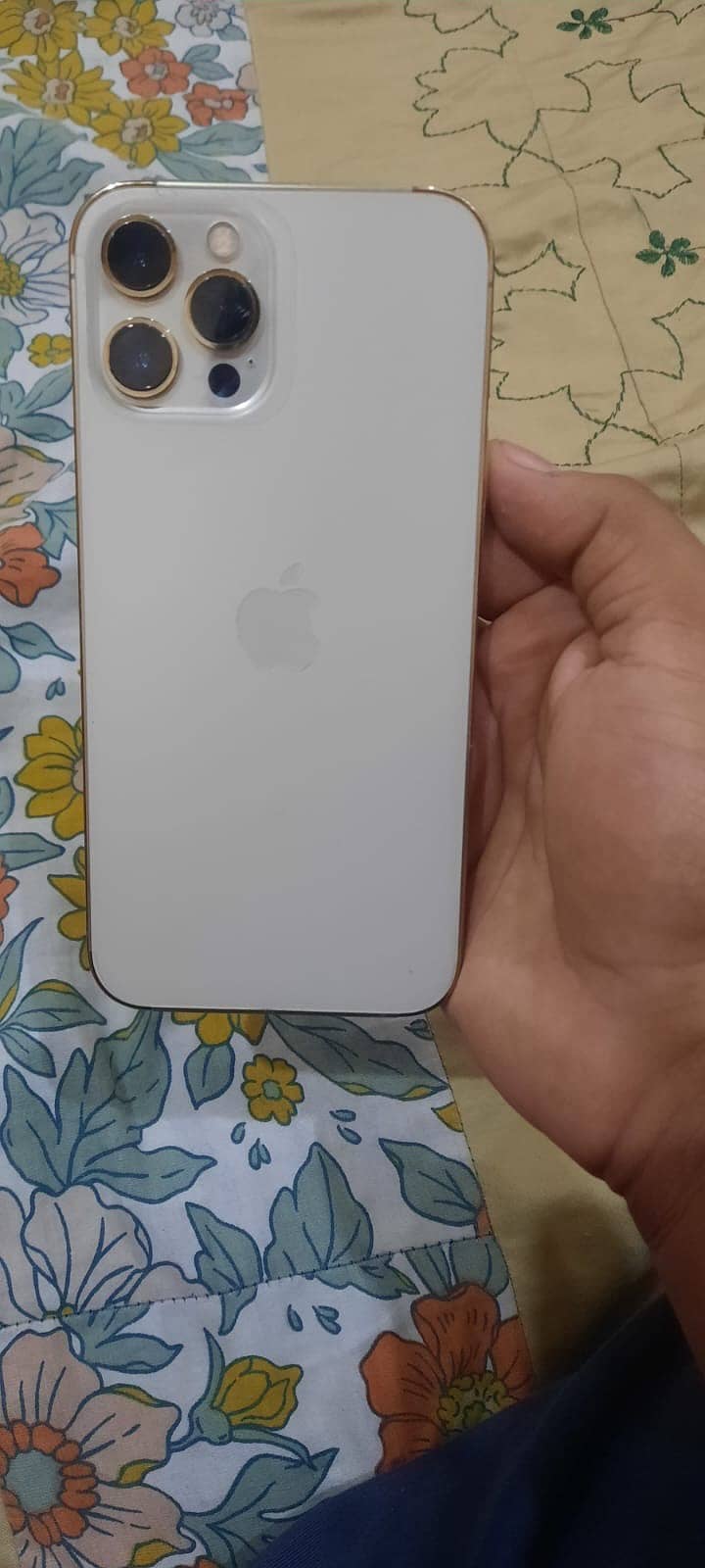 Apple iPhone 12 Pro Max 2