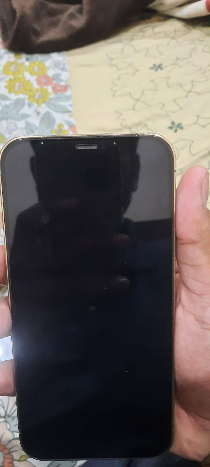 Apple iPhone 12 Pro Max 4