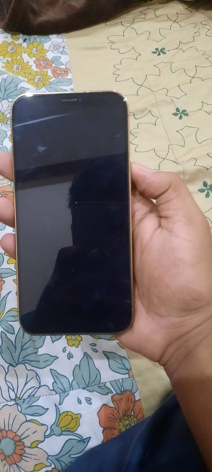 Apple iPhone 12 Pro Max 5