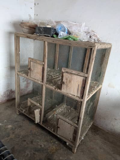 Hen Cage (Pinjra]
