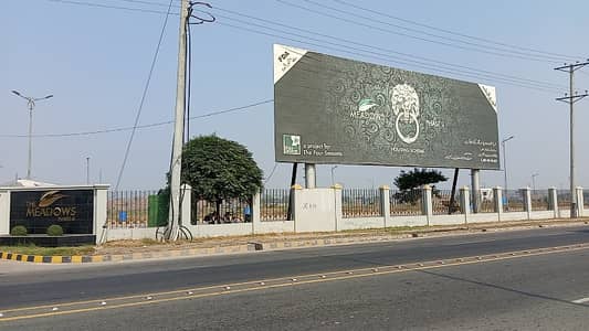 Good Location Plot For Sale In Meadow 2