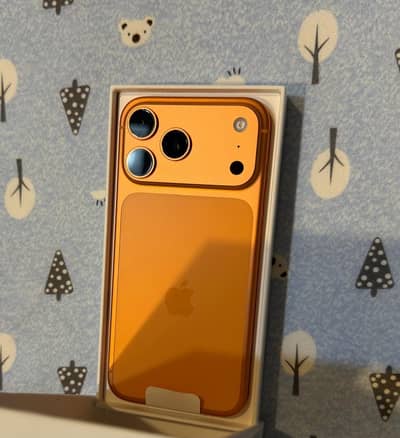 17 pro max Physical dual Just Box Open