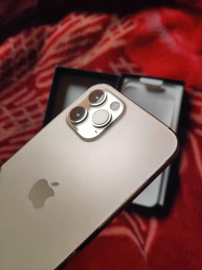 i phone 12 pro Max PTA approved