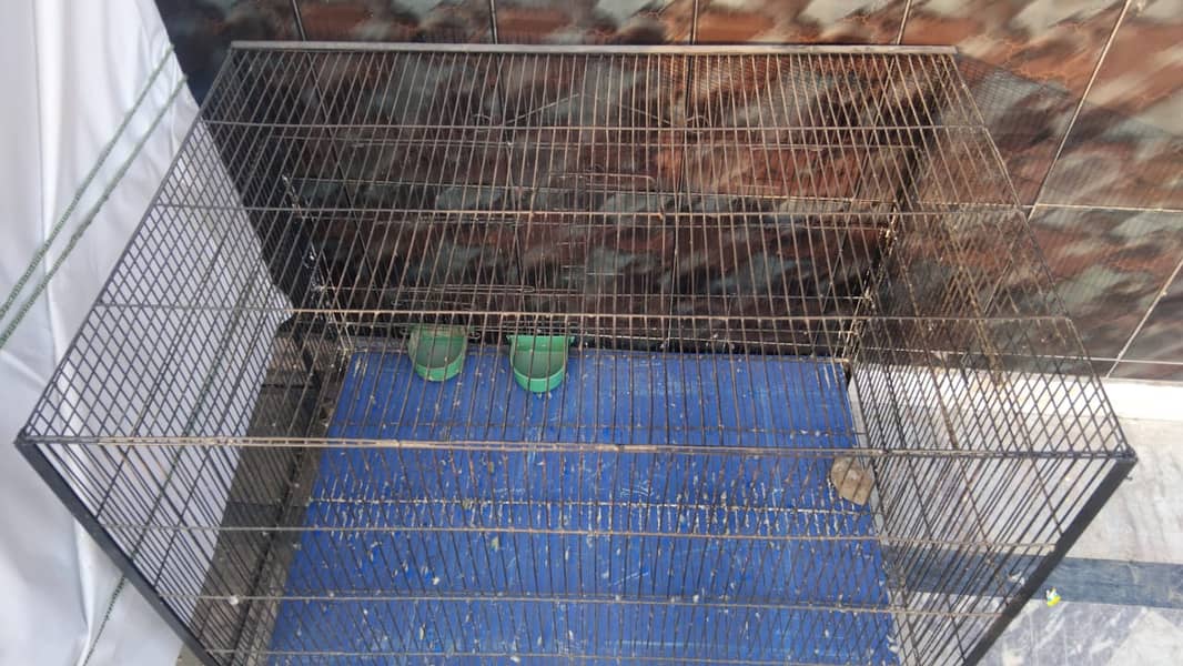 CAGE FOR MULTI PETS 1