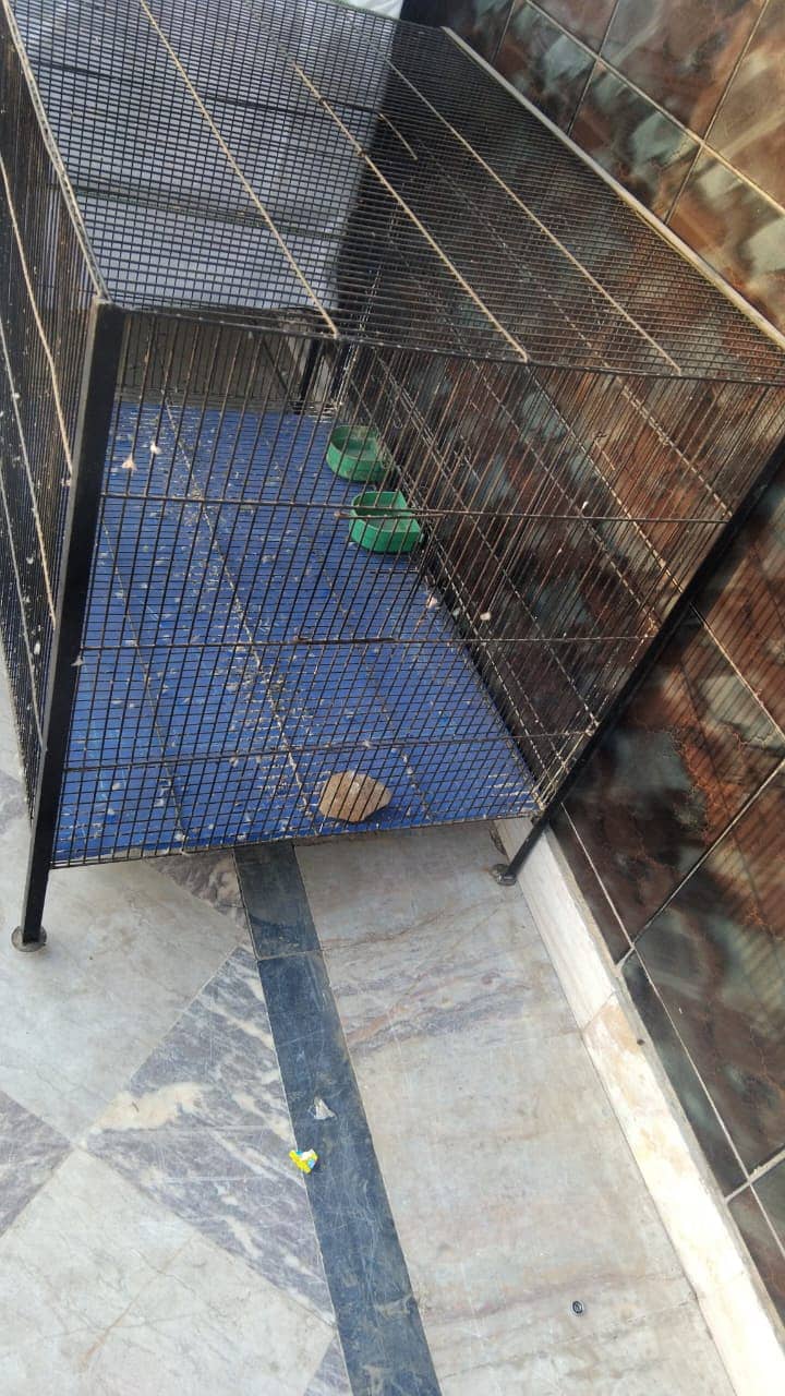 CAGE FOR MULTI PETS 2