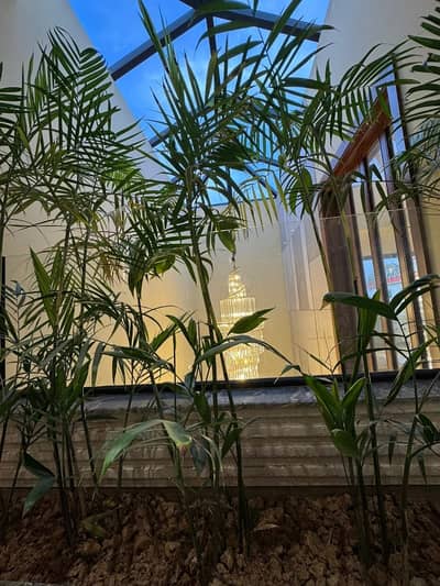 Ground Portion For Rent with Upper Portion Locked in Gulraiz